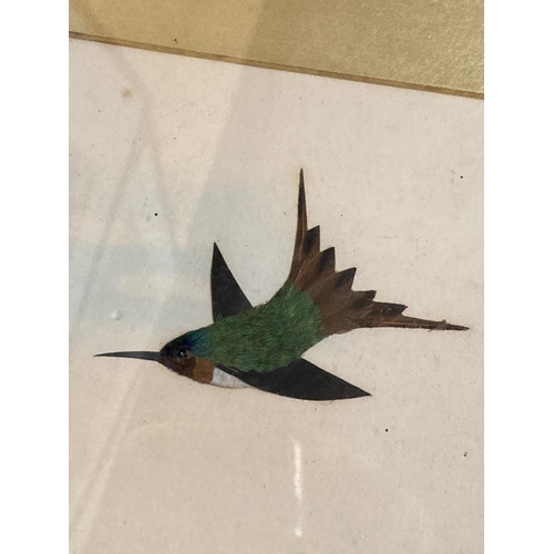 57 - A FRAMED COLLAGE OF BIRDS COMPOSED OF FEATHERS AND PRESSED FOLIAGE 10