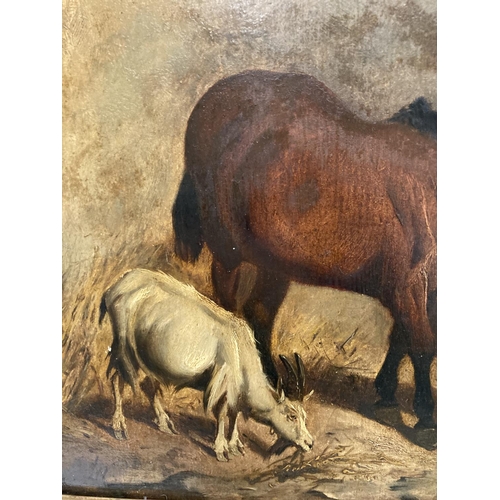 68 - A GILT FRAMED OIL ON BOARD OF A HORSE IN A STABLE WITH TWO GOATS 11