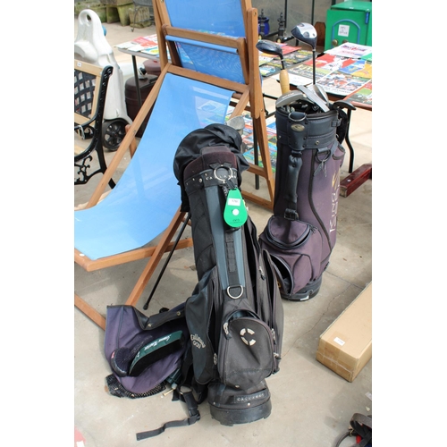 1760 - TWO GOLF BAGS AND AN ASSORTMENT OF GOLF CLUBS