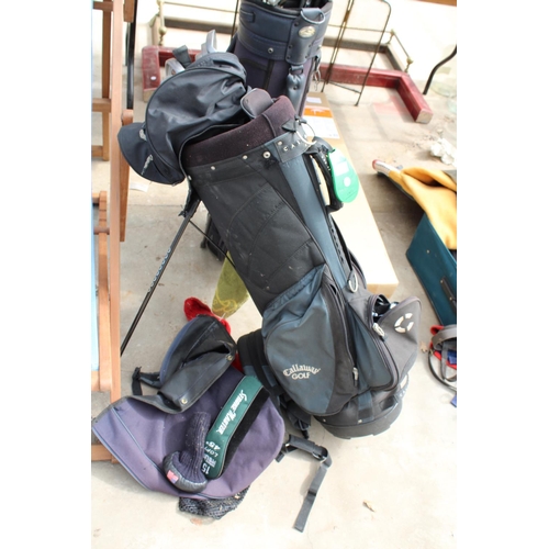 1760 - TWO GOLF BAGS AND AN ASSORTMENT OF GOLF CLUBS