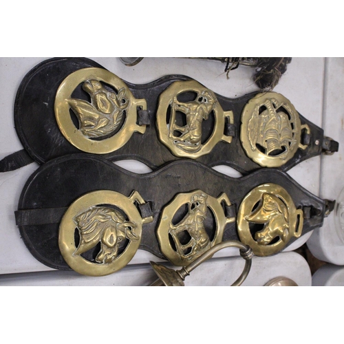 292 - SIX HORSE BRASSES ON LEATHER STRAPS