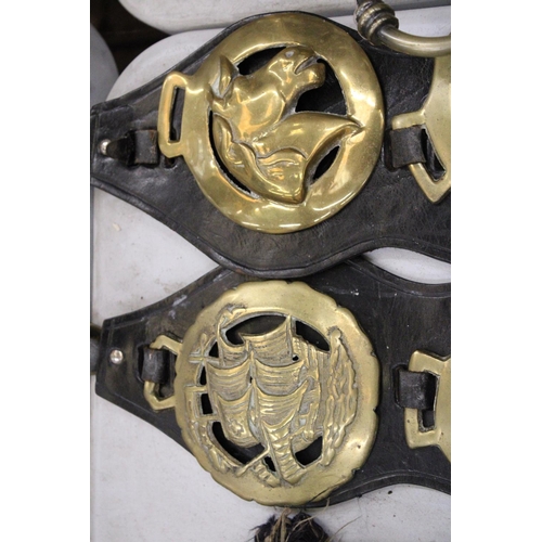 292 - SIX HORSE BRASSES ON LEATHER STRAPS