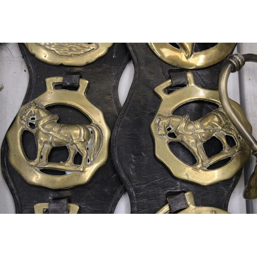 292 - SIX HORSE BRASSES ON LEATHER STRAPS