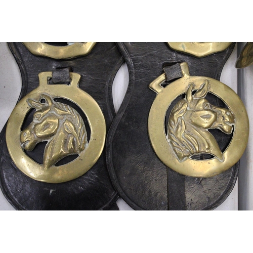 292 - SIX HORSE BRASSES ON LEATHER STRAPS