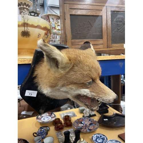 73 - A TAXIDERMY FOX HEAD ON A WOODEN MOUNT