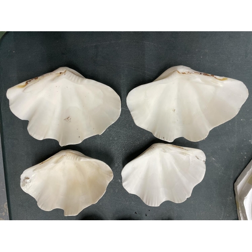 77 - FOUR CLAM SHELL DISHES