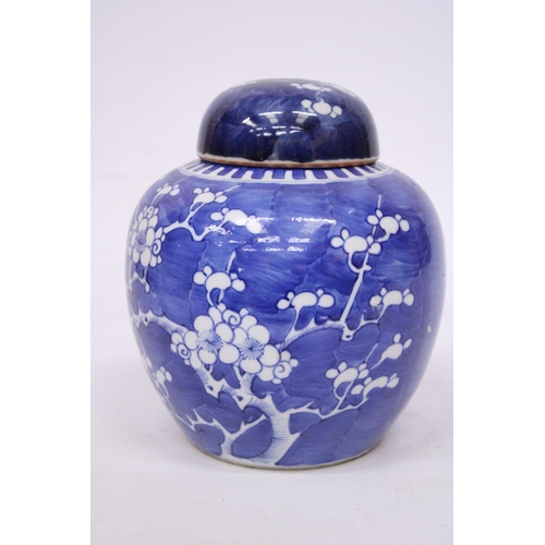 337 - A 19TH CENTURY CHINESE PORCELAIN LIDDED PRUNUS PATTERN GINGER JAR