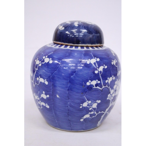 337 - A 19TH CENTURY CHINESE PORCELAIN LIDDED PRUNUS PATTERN GINGER JAR