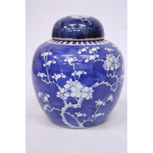 337 - A 19TH CENTURY CHINESE PORCELAIN LIDDED PRUNUS PATTERN GINGER JAR