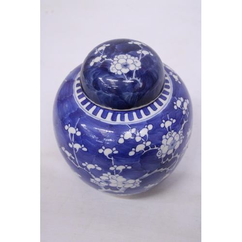 337 - A 19TH CENTURY CHINESE PORCELAIN LIDDED PRUNUS PATTERN GINGER JAR