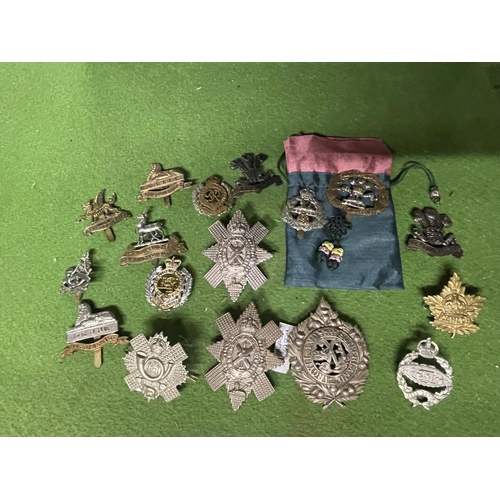 445 - A SELECTION OF 17 CAP BADGES, FINE CONDITION.