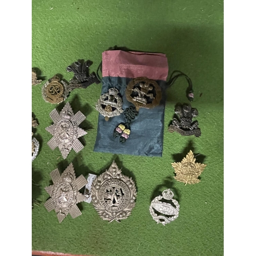 445 - A SELECTION OF 17 CAP BADGES, FINE CONDITION.