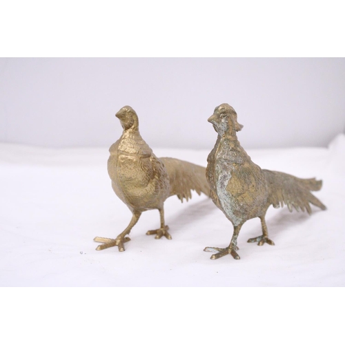 268 - A PAIR OF COCK AND HEN PHEASANTS, HEIGHT 12CM, LENGTH 28CM