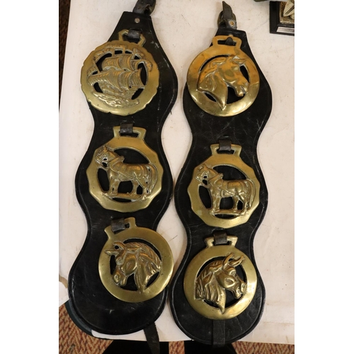 292 - SIX HORSE BRASSES ON LEATHER STRAPS