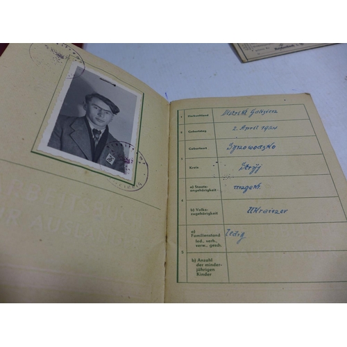 325 - A COLLECTION OF NAZI GERMANY IDENTITY PAPERS TO INCLUDE UKRAINIAN NATIONALS ETC