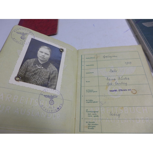 325 - A COLLECTION OF NAZI GERMANY IDENTITY PAPERS TO INCLUDE UKRAINIAN NATIONALS ETC