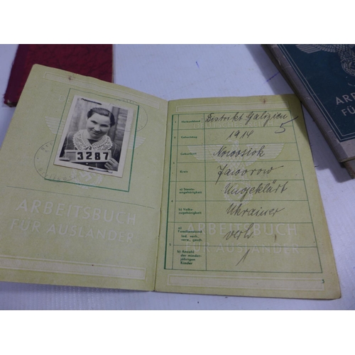 325 - A COLLECTION OF NAZI GERMANY IDENTITY PAPERS TO INCLUDE UKRAINIAN NATIONALS ETC