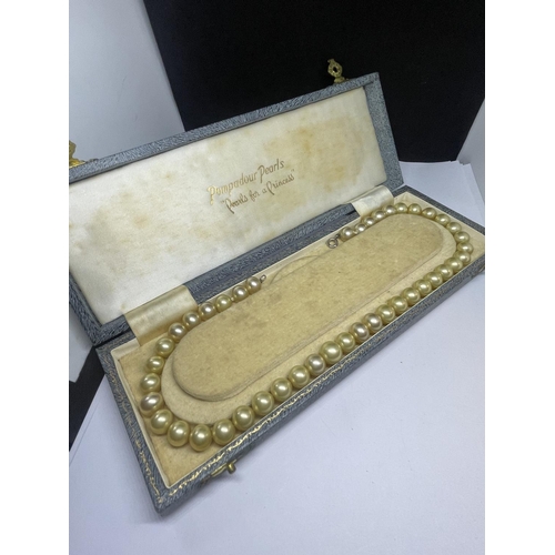 553 - A PEARL NECKLACE IN A PRESENTATION BOX