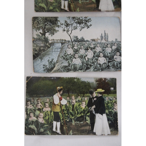 906 - SEVEN EARLY 1900'S POSTCARDS TO INCLUDE FRENCH CABBAGE BABIES, ETC