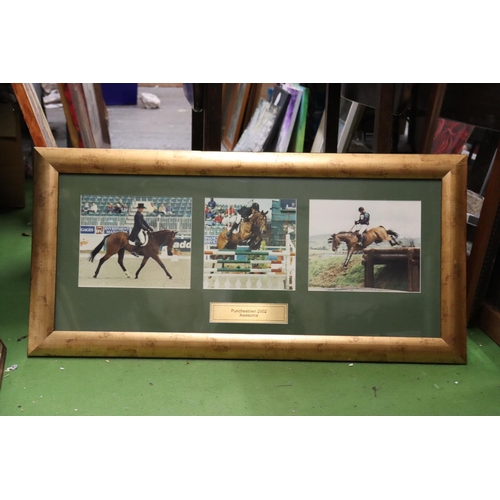 1047 - A QUANTITY OF SHOWJUMPING AND EVENTING PHOTOGRAPHS - IN FRAMES