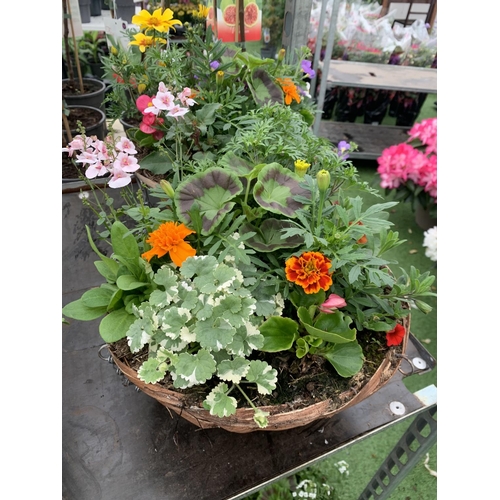 105 - TWO WICKER HANGING BASKETS WITH MIXED BEDDING AND TRAILING PLANTS TO INCLUDE PETUNIA, MARIGOLD, GERA... 