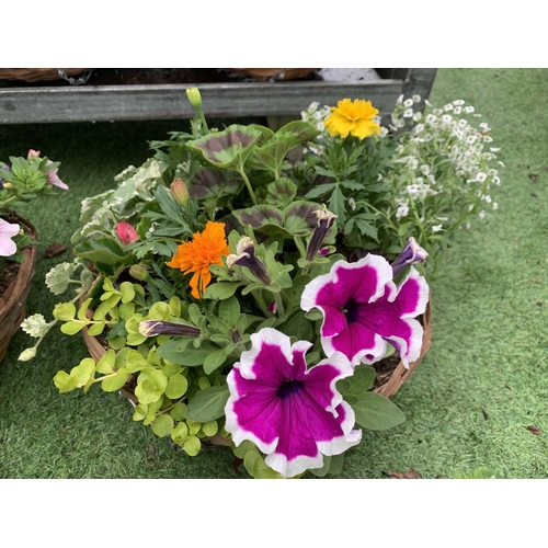 76 - FOUR WICKER HANGING BASKETS WITH MIXED BEDDING AND TRAILING PLANTS TO INCLUDE PETUNIA, MARIGOLD,GERA... 