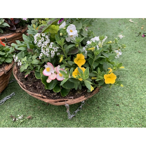 76 - FOUR WICKER HANGING BASKETS WITH MIXED BEDDING AND TRAILING PLANTS TO INCLUDE PETUNIA, MARIGOLD,GERA... 