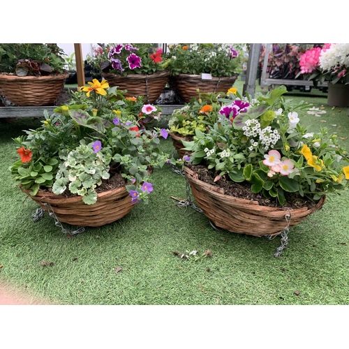 76 - FOUR WICKER HANGING BASKETS WITH MIXED BEDDING AND TRAILING PLANTS TO INCLUDE PETUNIA, MARIGOLD,GERA... 