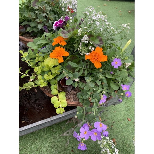 77 - FOUR WICKER HANGING BASKETS WITH MIXED BEDDING AND TRAILING PLANTS TO INCLUDE PETUNIA, MARIGOLD, GER... 