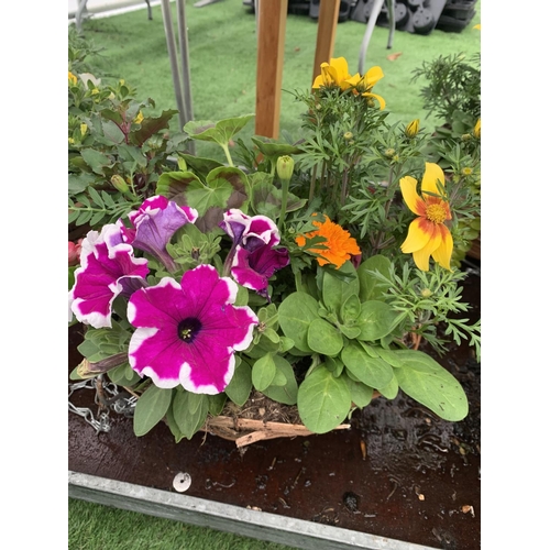 78 - TWO WICKER HANGING BASKETS WITH MIXED BEDDING AND TRAILING PLANTS TO INCLUDE PETUNIA, MARIGOLD, GERA... 