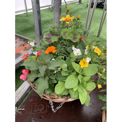 78 - TWO WICKER HANGING BASKETS WITH MIXED BEDDING AND TRAILING PLANTS TO INCLUDE PETUNIA, MARIGOLD, GERA... 