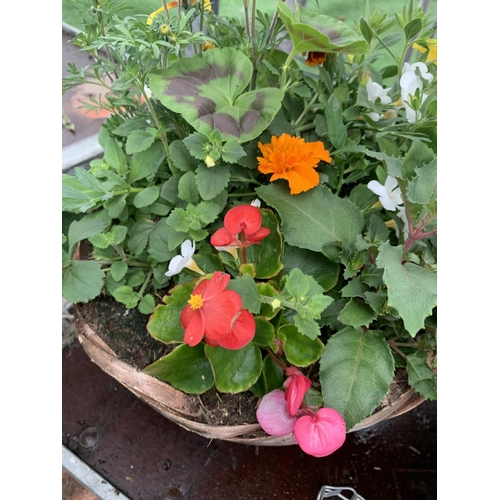 78 - TWO WICKER HANGING BASKETS WITH MIXED BEDDING AND TRAILING PLANTS TO INCLUDE PETUNIA, MARIGOLD, GERA... 