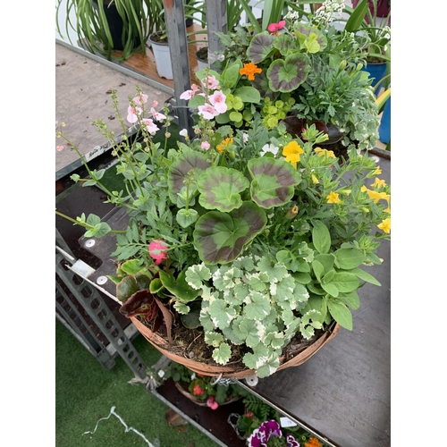 79 - TWO WICKER HANGING BASKETS WITH MIXED BEDDING AND TRAILING PLANTS TO INCLUDE PETUNIA, MARIGOLD, GERA... 