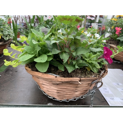 79 - TWO WICKER HANGING BASKETS WITH MIXED BEDDING AND TRAILING PLANTS TO INCLUDE PETUNIA, MARIGOLD, GERA... 