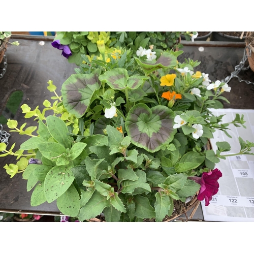 79 - TWO WICKER HANGING BASKETS WITH MIXED BEDDING AND TRAILING PLANTS TO INCLUDE PETUNIA, MARIGOLD, GERA... 