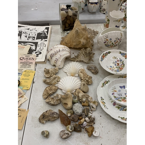 124 - A COLLECTION OF SHELLS AND PEBBLES TO INCLUDE WHITE SCALLOPS, LARGE CONCH, OYSTER SHELLS, ETC.,