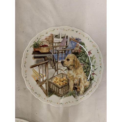 169 - FOUR ROYAL ALBERT, 'MAN'S BEST FRIEND', CABINET PLATES