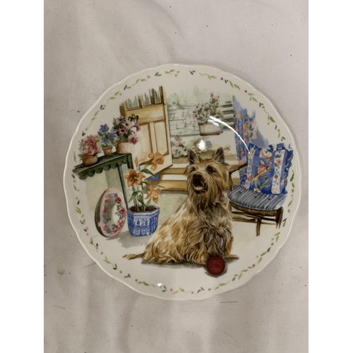 169 - FOUR ROYAL ALBERT, 'MAN'S BEST FRIEND', CABINET PLATES