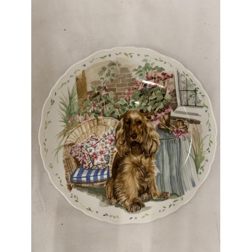 169 - FOUR ROYAL ALBERT, 'MAN'S BEST FRIEND', CABINET PLATES