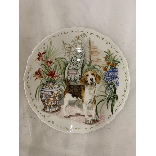 169 - FOUR ROYAL ALBERT, 'MAN'S BEST FRIEND', CABINET PLATES