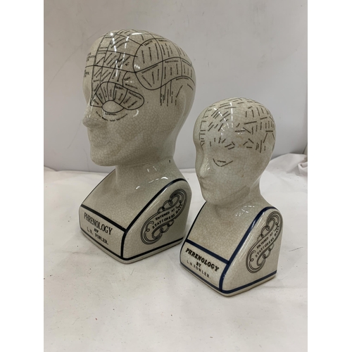 180 - TWO CERAMIC PHRENOLOGY HEADS, HEIGHTS, 23CM AND 16CM