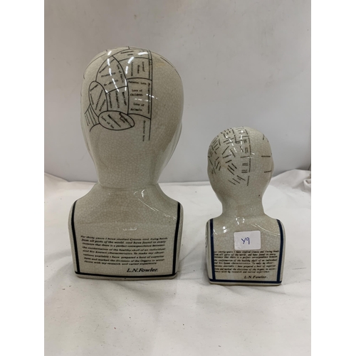 180 - TWO CERAMIC PHRENOLOGY HEADS, HEIGHTS, 23CM AND 16CM