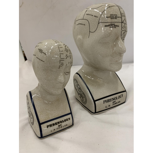 180 - TWO CERAMIC PHRENOLOGY HEADS, HEIGHTS, 23CM AND 16CM