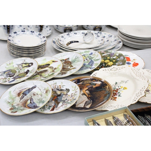 214 - A COLLECTION OF ELEVEN CABINET PLATES