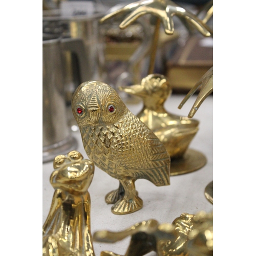 242 - A MIXED LOT OF ANIMAL ORNAMENT BRASSWARE TO INCLUDE FROGS, DUCKS AND OWL