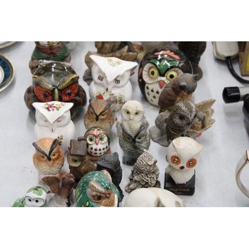 255 - A COLLECTION OF APPROXIMATELY FOURTY OWL ORNAMENTS