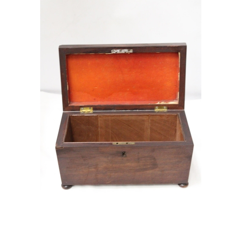 281 - AN EARLY VICTORIAN, MAHOGANY, SARCOPHAGUS, TEA CADDY