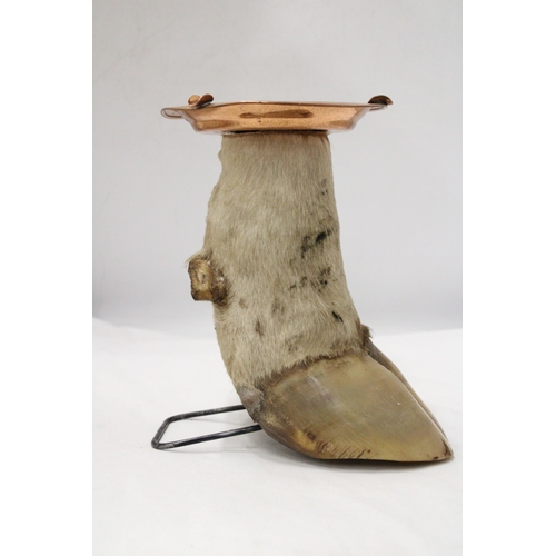 289 - A COWS HOOF WITH COPPER ASHTRAY