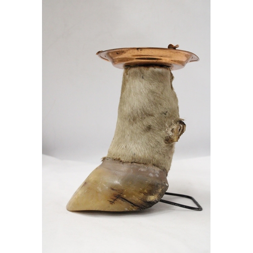 289 - A COWS HOOF WITH COPPER ASHTRAY