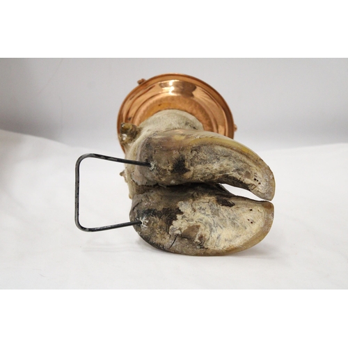 289 - A COWS HOOF WITH COPPER ASHTRAY